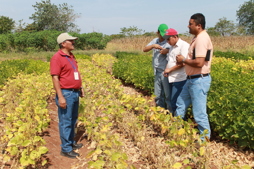 El Ing. Arnulfo Gutierrez G. gerente del proyecto explica los beneficios de la Soya a un grupo de productores.