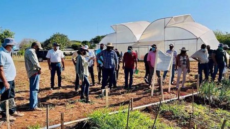 DÍA DE CAMPO EN LAS PARCELAS DE INVETIGACIÓN DE LA ESTACIÓN EXPERIMENTAL DEL IDIAP EN AZUERO