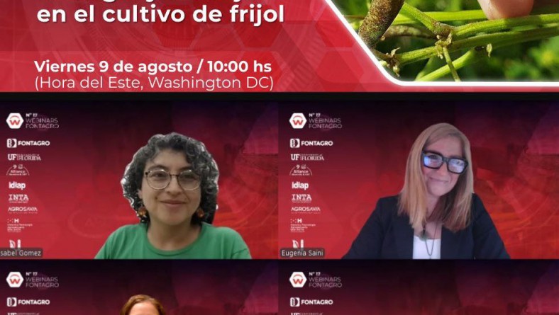 WEBINAR INTERNACIONAL SOBRE EL MANEJO DEL  «Megalurothrips usitatus» EN EL CULTIVO DE FRIJOL