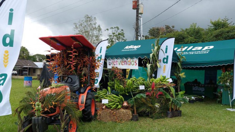 IDIAP PARTICIPA DE LA PARADA DE LAS FLORES 2024 EN TIERRAS ALTAS