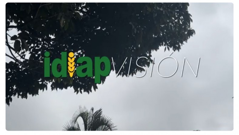 IDIAP VISIÓN CAPÍTULO NUEVO DISPONIBLE